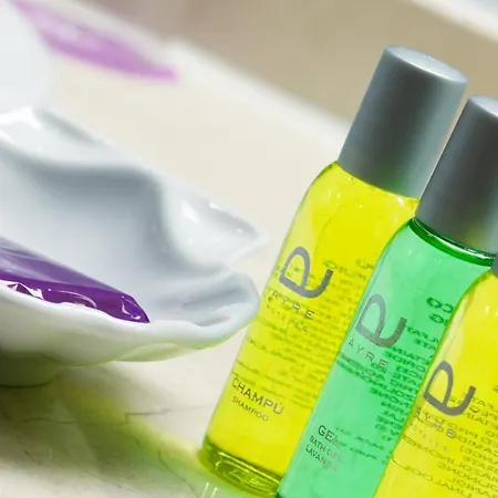 Ayre Alfonso Ii Hotel 4*